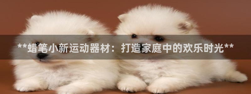 富联平台界7O777：**蜡笔小新运动器材：打造家庭