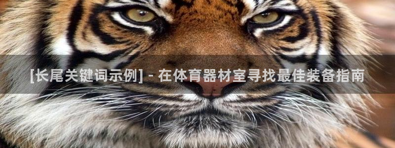 富联娱乐客户端app下载服务器：[长尾关键词示例] 