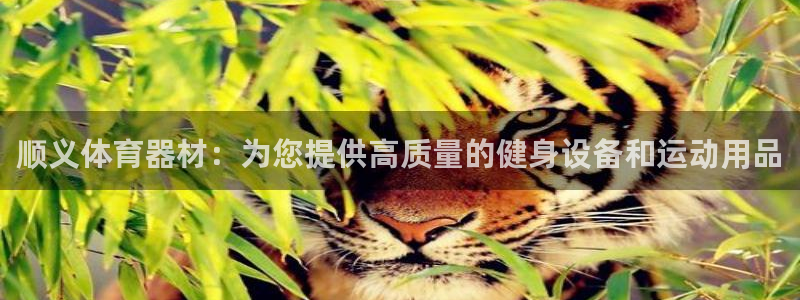 富联娱乐平台怎么样：顺义体育器材：为您提供高质量的健