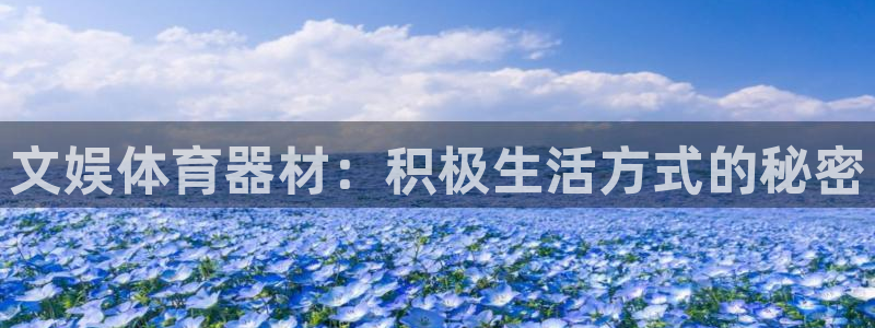 富联平台娱乐：文娱体育器材：积极生活方式的秘密