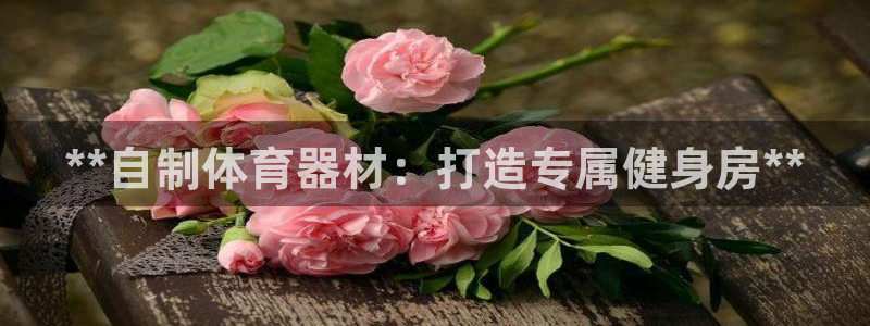 富联娱乐测速软件下载：**自制体育器材：打造专属健身