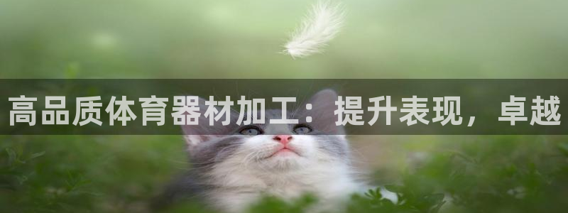 富联股份股票怎么样：高品质体育器材加工：提升表现，卓