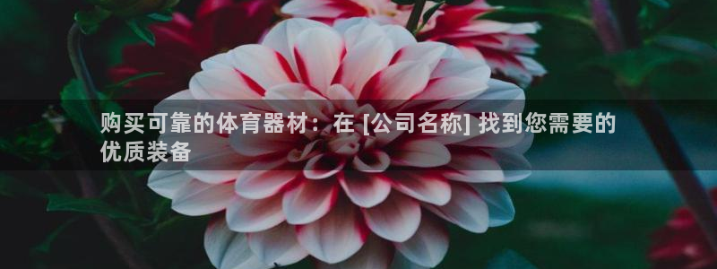 富联平台官网登录入口：购买可靠的体育器材：在 [公司