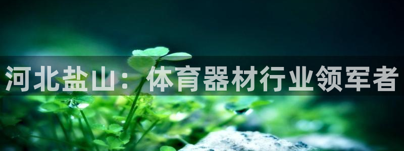 富联娱乐客户端app下载服务器异常怎么回事：河北盐山