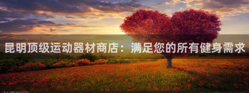 富联平台注册登录不上：昆明顶级运动器材商店：满足您的