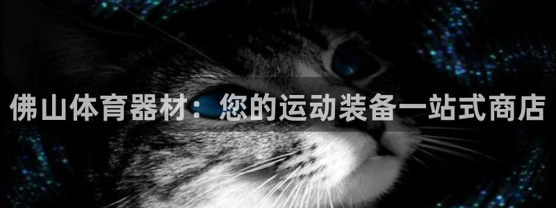 富联娱乐测速app：佛山体育器材：您的运动装备一站式