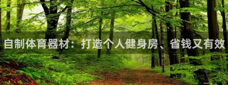 富联超市：自制体育器材：打造个人健身房、省钱又有效