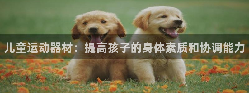 富联娱乐官方网站首页下载：儿童运动器材：提高孩子的身