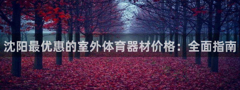 富联娱乐登录注册：沈阳最优惠的室外体育器材价格：全面