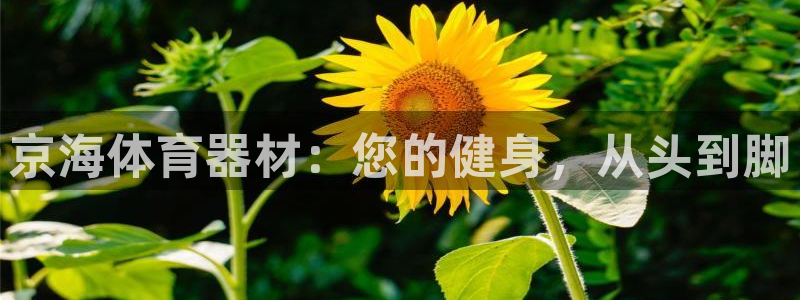 富联娱乐测速地址是什么：京海体育器材：您的健身，从头