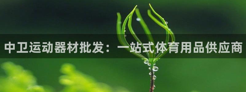 富联娱乐护7O777：中卫运动器材批发：一站式体育用