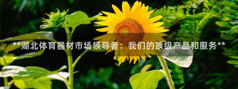 富联娱乐客户端app下载服务器异常怎么回事