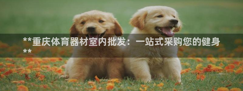 富联娱乐正规吗：**重庆体育器材室内批发：一站式采购