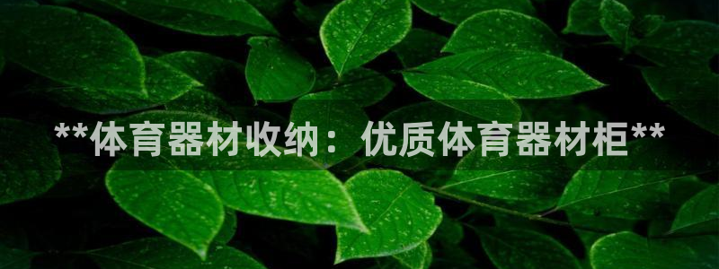 富联娱乐平台怎么样啊：**体育器材收纳：优质体育器材