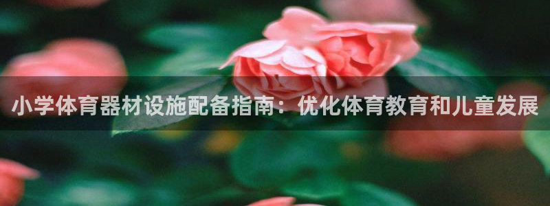 富联娱乐代理怎么做赚钱：小学体育器材设施配备指南：优