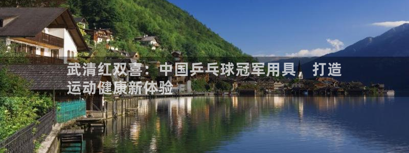 富联娱乐卜6.7.5.1.3.8：武清红双喜：中国乒