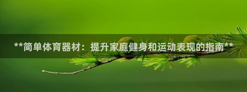 富联智能：**简单体育器材：提升家庭健身和运动表现的