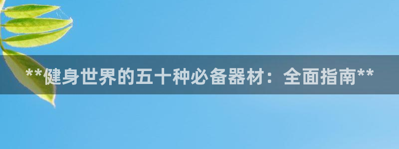 杭州富联科技：**健身世界的五十种必备器材：全面指南
