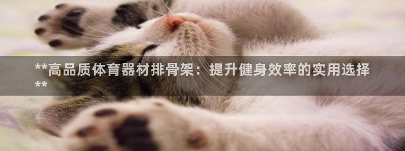 富联平台官网登录入口网址：**高品质体育器材排骨架：