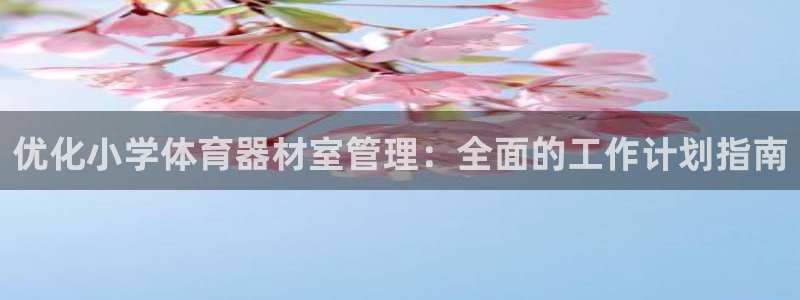 富联是什么：优化小学体育器材室管理：全面的工作计划指