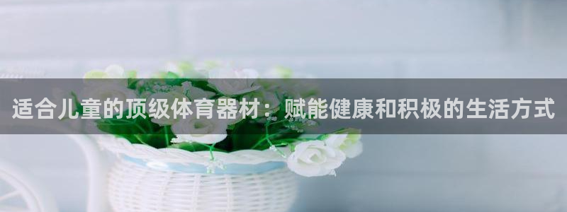 富联娱乐平台能挣到钱吗：适合儿童的顶级体育器材：赋能