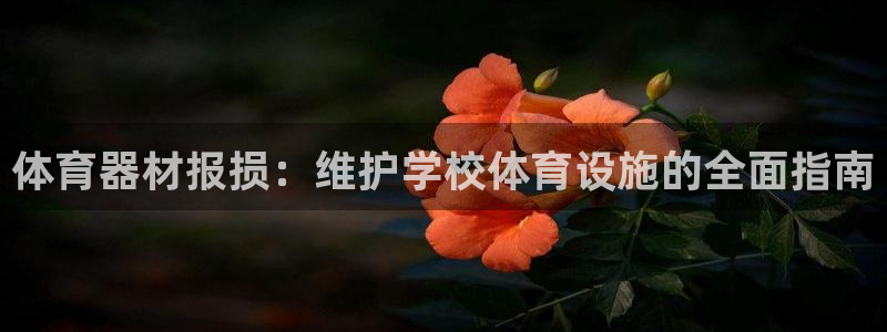 富联娱乐下载官网：体育器材报损：维护学校体育设施的全