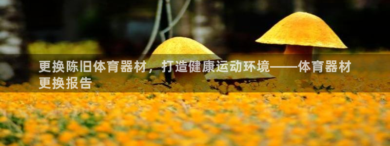 富联官网登录入口网址：更换陈旧体育器材，打造健康运动