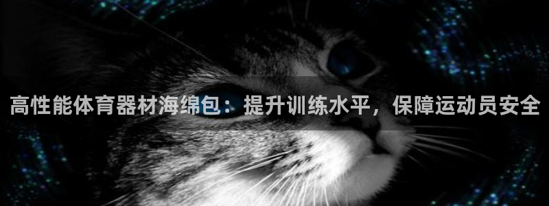 富联娱乐客户端app下载服务：高性能体育器材海绵包：