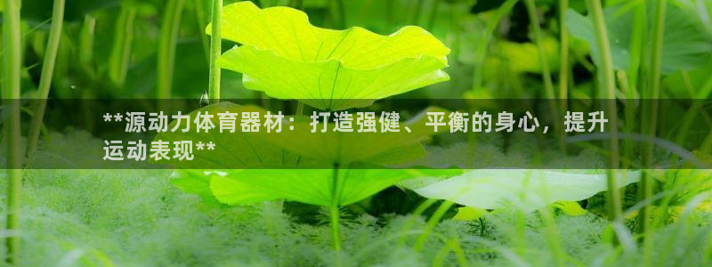富联平台李 411O31 富联：**源动力体育器材：