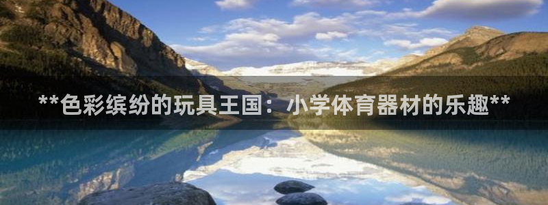 富联娱乐登录注册入口官网网址是什么：**色彩缤纷的玩具王国：
