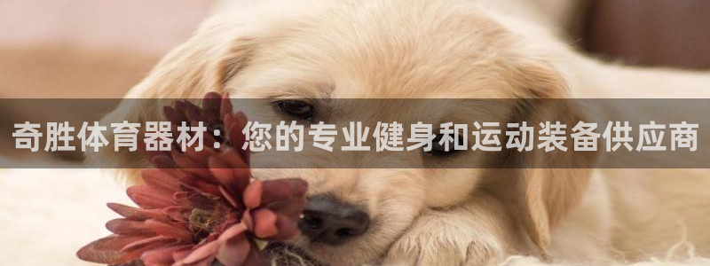 富联商城官网：奇胜体育器材：您的专业健身和运动装备供