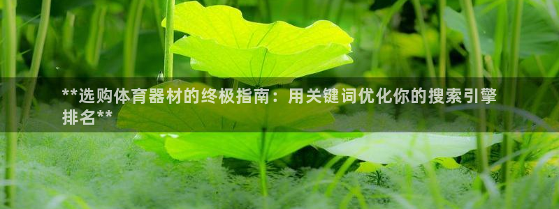 富联娱乐在线注册链接是什么：**选购体育器材的终极指