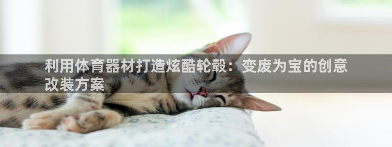 富联娱乐登录注册不了：利用体育器材打造炫酷轮毂：变废