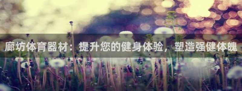 富联官网登录网址：廊坊体育器材：提升您的健身体验，塑