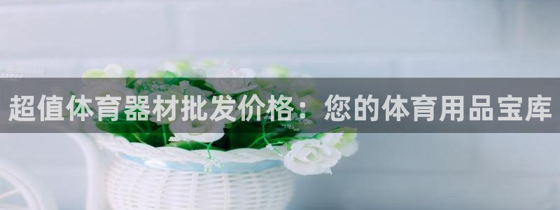 富联平台目 411O31 富联：超值体育器材批发价格