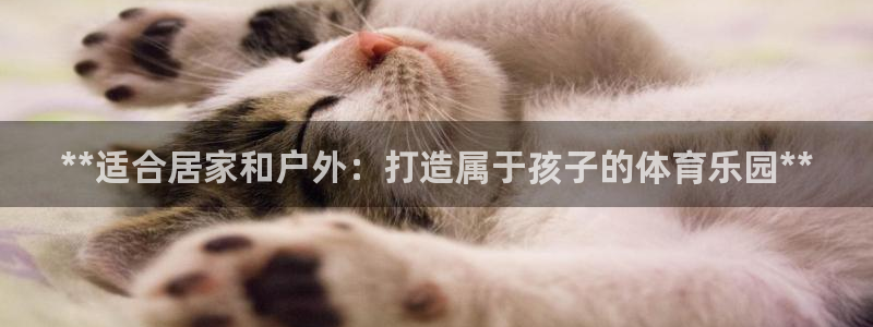 富联申购中签时间：**适合居家和户外：打造属于孩子的