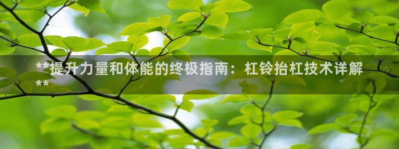 富联娱乐向 5o69I7：**提升力量和体能的终极指南：杠铃