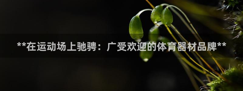 富联平台登录入口官网：**在运动场上驰骋：广受欢迎的