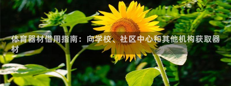 富联申购可以赚多少钱：体育器材借用指南：向学校、社区