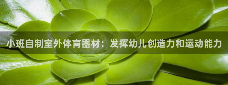 富联平台七7O777：小班自制室外体育器材：发挥幼儿