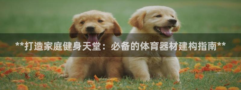 富联娱乐平台开户流程：**打造家庭健身天堂：必备的体
