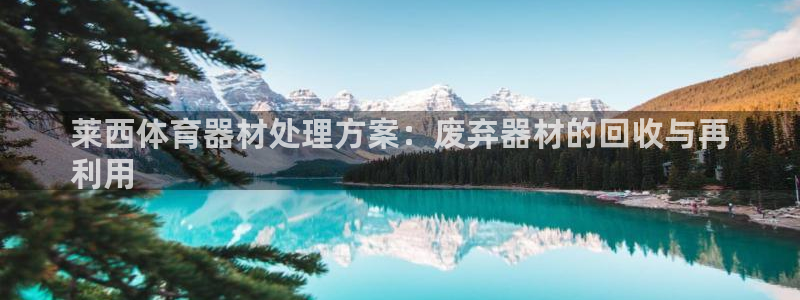 香港富联国际集团：莱西体育器材处理方案：废弃器材的回