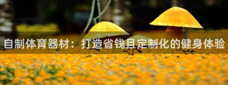 富联丰地产交易平台：自制体育器材：打造省钱且定制化的