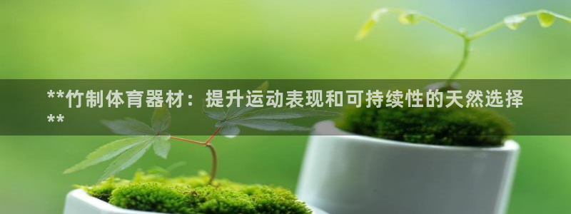 富联官网注册不了账号怎么回事：**竹制体育器材：提升