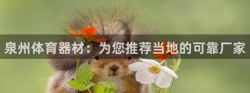 富联官网丁6.7.5.1.3.8：泉州体育器材：为您
