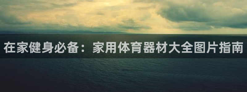 富联芯科技：在家健身必备：家用体育器材大全图片指南