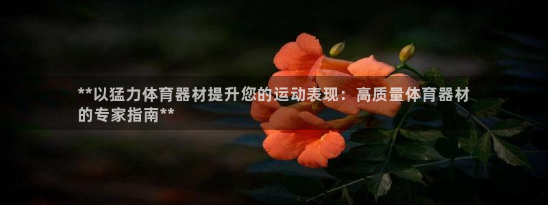 富联平台巴7O777：**以猛力体育器材提升您的运动