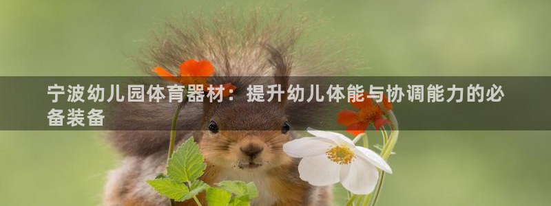 富联娱乐会员：宁波幼儿园体育器材：提升幼儿体能与协调
