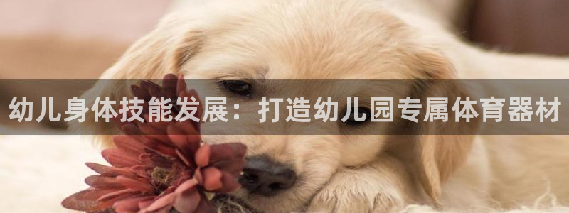 富联智能：幼儿身体技能发展：打造幼儿园专属体育器材