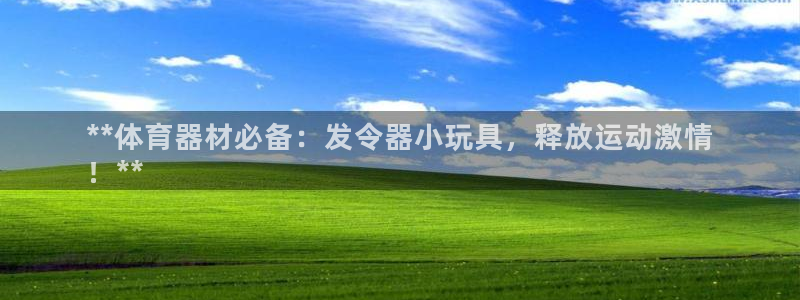 富联官方网站下载app：**体育器材必备：发令器小玩